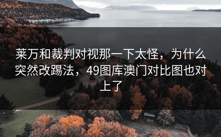 莱万和裁判对视那一下太怪，为什么突然改踢法，49图库澳门对比图也对上了