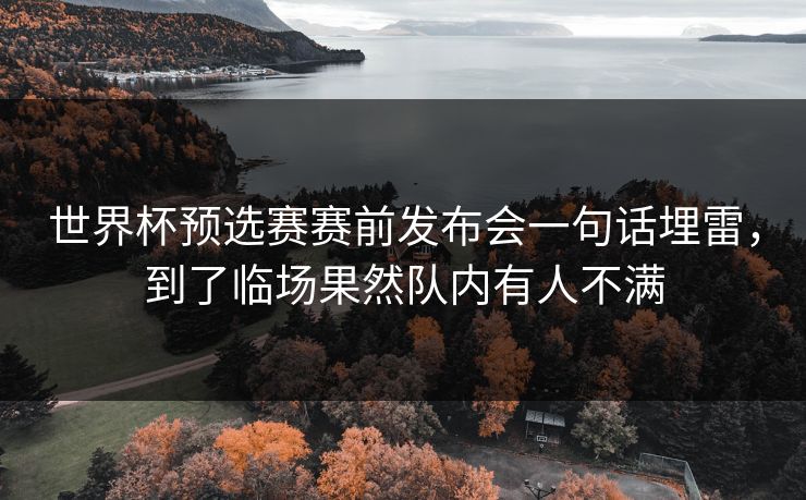 世界杯预选赛赛前发布会一句话埋雷，到了临场果然队内有人不满