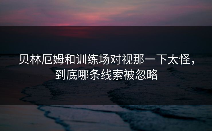 贝林厄姆和训练场对视那一下太怪,到底哪条线索被忽略 贝林厄姆和训练场对视那一下太怪,到底哪条线索被忽略